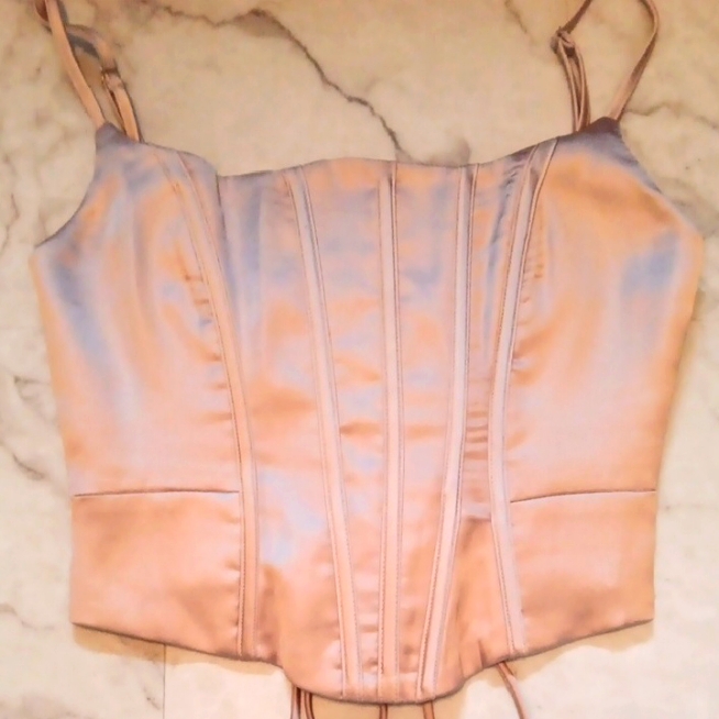 Fashion Nova Corset Top In Blush Pink.